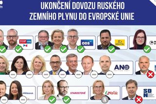 Žádný z europoslanců ANO nehlasoval pro ukončení dovozu ruského plynu do EU - Novinky